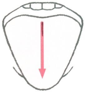 舌掃除の説明２